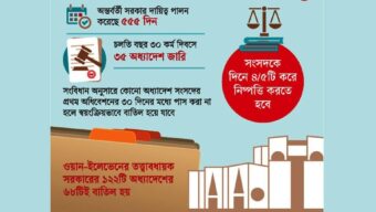অন্তর্বর্তী সরকারের ১৩৩ অধ্যাদেশ: অধিকাংশ বাতিলের আশঙ্কা