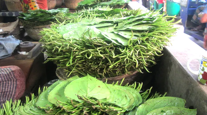 বিয়ানীবাজারে পানের বাজারে গলা শুকানো দাম