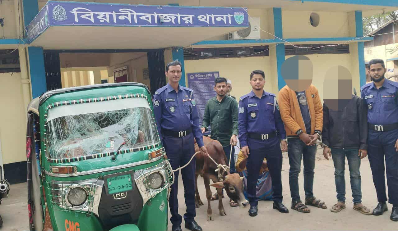 বিয়ানীবাজারে চোরাই গরুসহ সিএনজি জব্দ, ২ জন গ্রেফতার