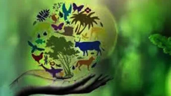 জীববৈচিত্র্যের জন্য অশনিসংকেত