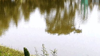 বড়লেখায় পুকুরে ডুবে প্রাণ গেল দুই বছরের শিশুর