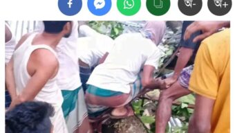 ঘরের ওপর গাছ পড়ে মা ও ২ মেয়ে নিহত