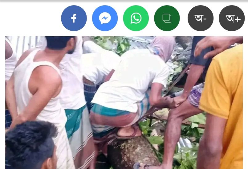 ঘরের ওপর গাছ পড়ে মা ও ২ মেয়ে নিহত