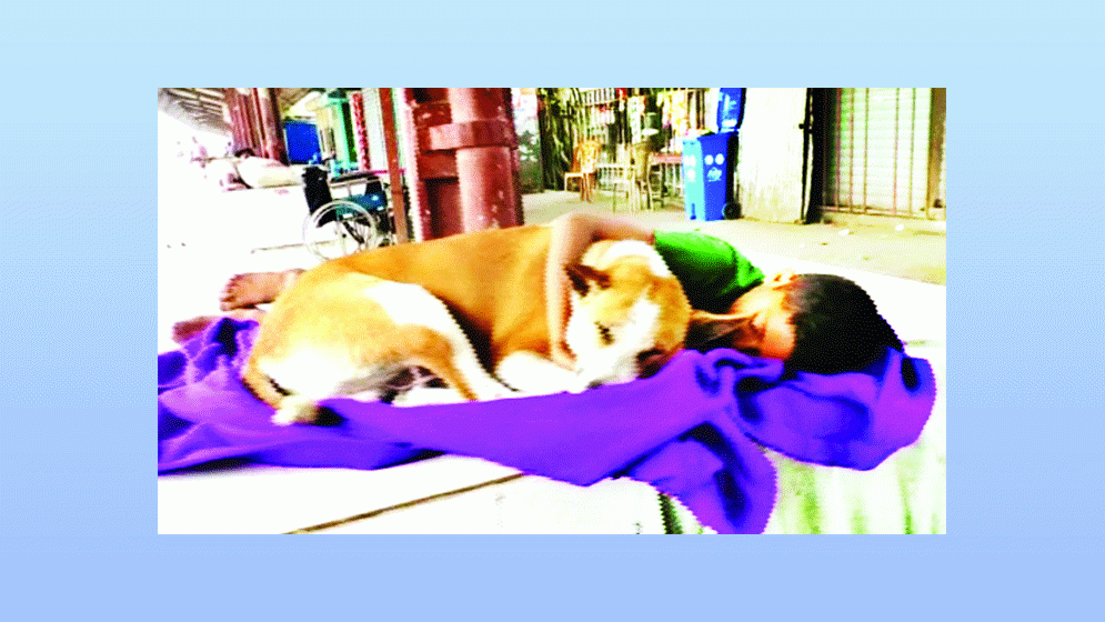 সঙ্গী দুই কুকুর নিয়েই শ্রাবণের দিন-রাত