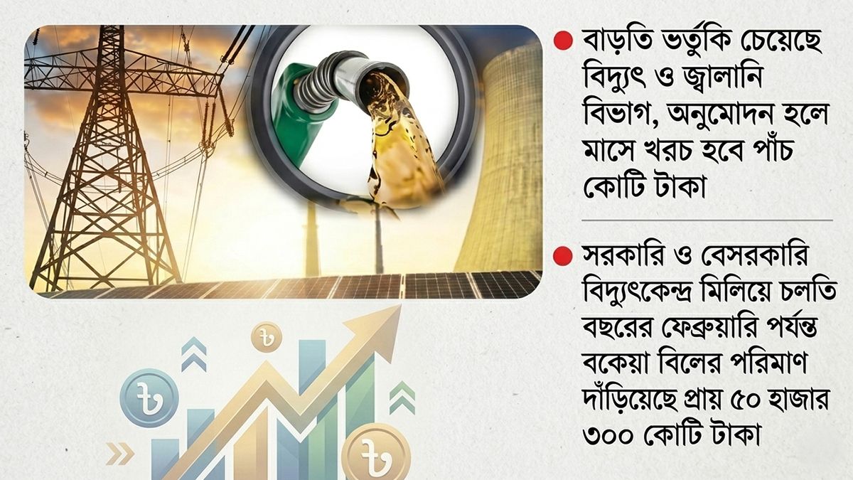 অতিরিক্ত ভর্তুকির চাপে নাকাল বিদ্যুৎ ও জ্বালানি খাত