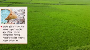 চোখ রাঙাচ্ছে সারের মজুত