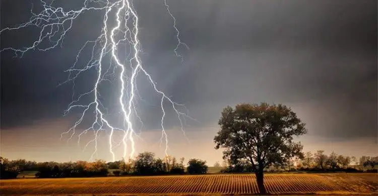 সুনামগঞ্জে বজ্রপাতে ৫ কৃষকের মৃত্যু