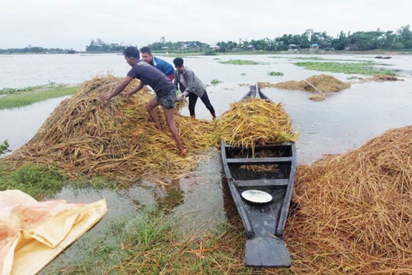 সিলেট বিভাগের ২ নদীর পানি বিপৎসীমার ওপরে, নিম্নাঞ্চল প্লাবিত