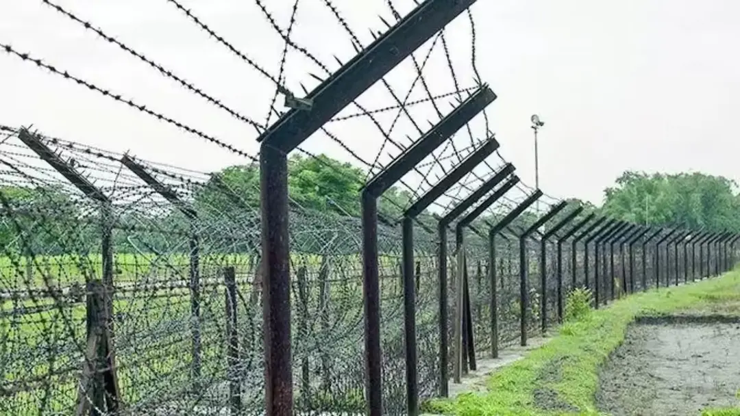 দুই বাংলাদেশিকে গুলি করে হত্যার কথা স্বীকার বিএসএফের, জানাল কারণ