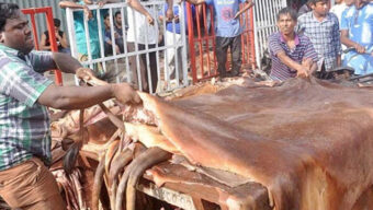 কোরবানির চামড়ার বাজার নিয়ে শঙ্কা কাটছে না