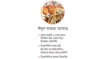 পশুর হাটে রাজনৈতিক টক্কর