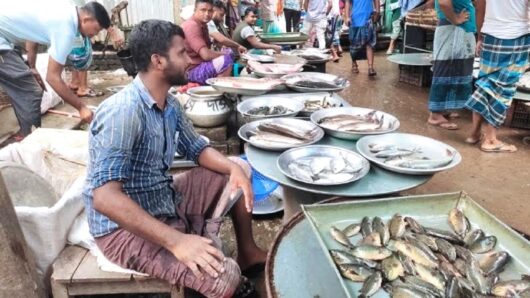 যে সিন্ডিকেটের খবর রাখেননা বিয়ানীবাজারবাসী