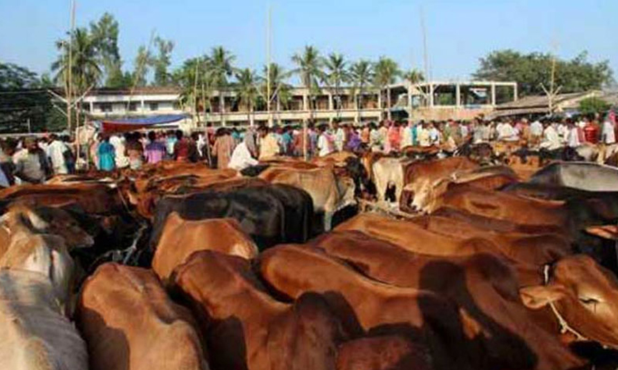 পশু থাকলেও বাড়তি দামের শঙ্কা