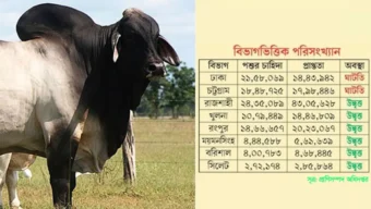 উদ্বৃত্ত কোরবানির পশু, উদ্বেগ চোরাচালান নিয়ে