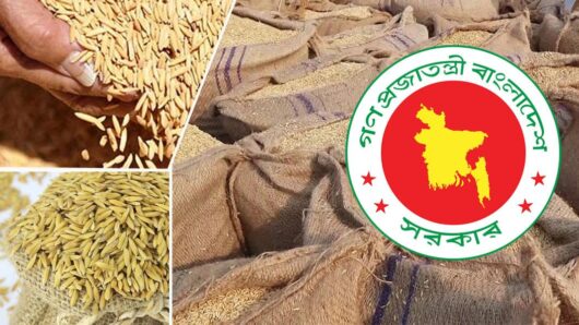 বন্যা-ঢলের ক্ষতি পেরিয়ে বোরো সংগ্রহের বড় লক্ষ্য সরকারের