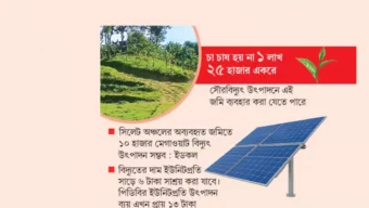 সরকারের চোখ নেই চা বাগানের জমিতে