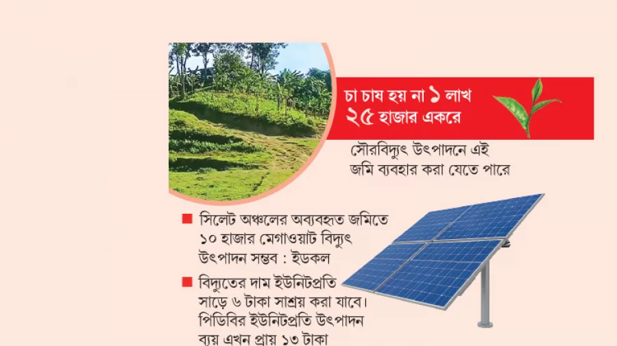 সরকারের চোখ নেই চা বাগানের জমিতে