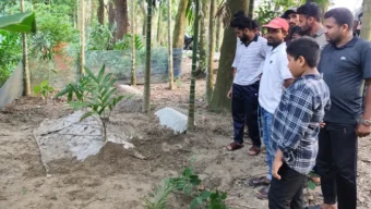 সুগন্ধি আসছে, স্বপ্নে বলেছেন বেঁচে আছেন— তরুণীর কবর খুঁড়লেন স্বজনরা