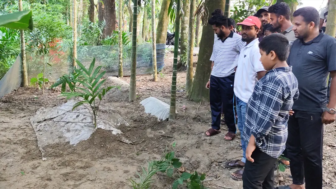 সুগন্ধি আসছে, স্বপ্নে বলেছেন বেঁচে আছেন— তরুণীর কবর খুঁড়লেন স্বজনরা