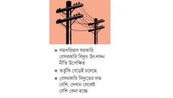 বেশি দামের বিদ্যুতেই নজর বেশি