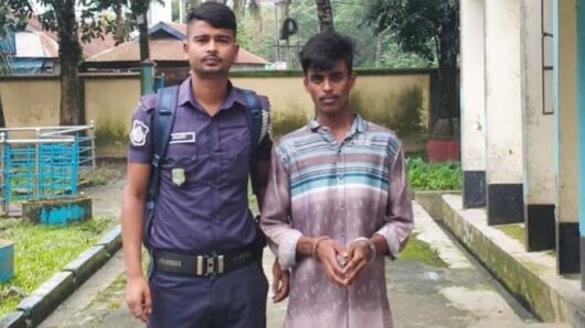 হাঁস খুঁজতে গিয়ে ধর্ষণের শিকার স্কুলছাত্রী, ভিডিও ধারণ