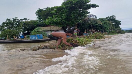 সুনামগঞ্জের হাওরপাড়ে টিকে থাকার লড়াই