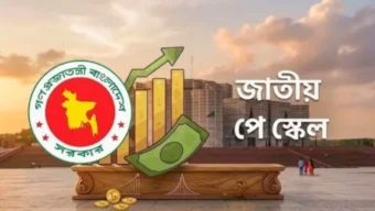 পে-স্কেল বাস্তবায়নে নতুন বাধা, সফটওয়্যার জটিলতায় পেছাল গেজেট