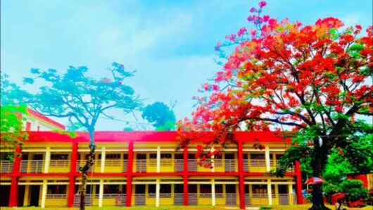 যেভাবে দেশ সেরা হল মফস্বলের খাসা সরকারি প্রাথমিক বিদ্যালয়