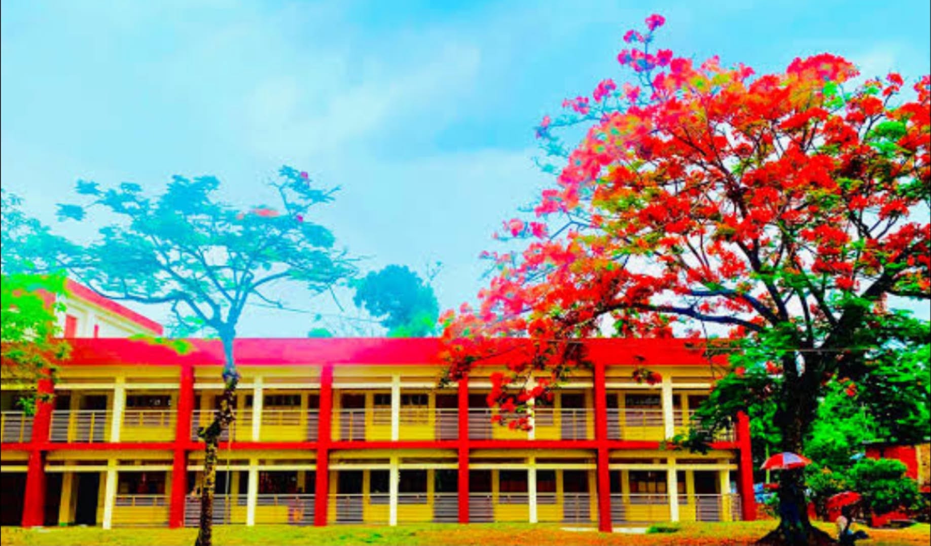 যেভাবে দেশ সেরা হল মফস্বলের খাসা সরকারি প্রাথমিক বিদ্যালয়