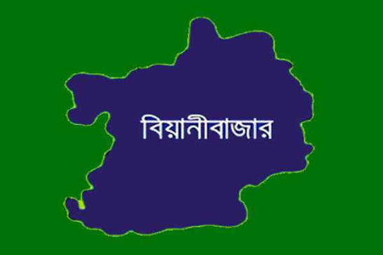 বিয়ানীবাজারে অবৈধ দখলে হারাচ্ছে হাটের প্রাণ, ইজারা হয়না ৪০টি বাজার