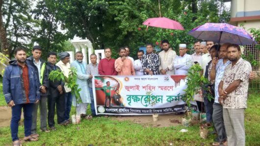 বড়লেখায় জুলাই শহীদদের স্মরণে সহকারী শিক্ষক সমিতির মাসব্যাপী বৃক্ষরোপণ কর্মসূচির উদ্বোধন