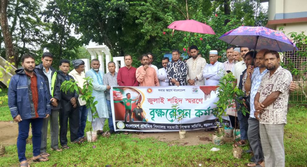 বড়লেখায় জুলাই শহীদদের স্মরণে সহকারী শিক্ষক সমিতির মাসব্যাপী বৃক্ষরোপণ কর্মসূচির উদ্বোধন