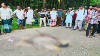 সিলেটে ঘুরতে এসে সড়কে প্রা ণ গেল কিশোরীর