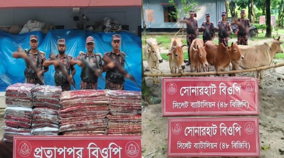 সিলেট সীমান্তে বিজিবি জ ব্দ করল বুঙ্গার মালামাল