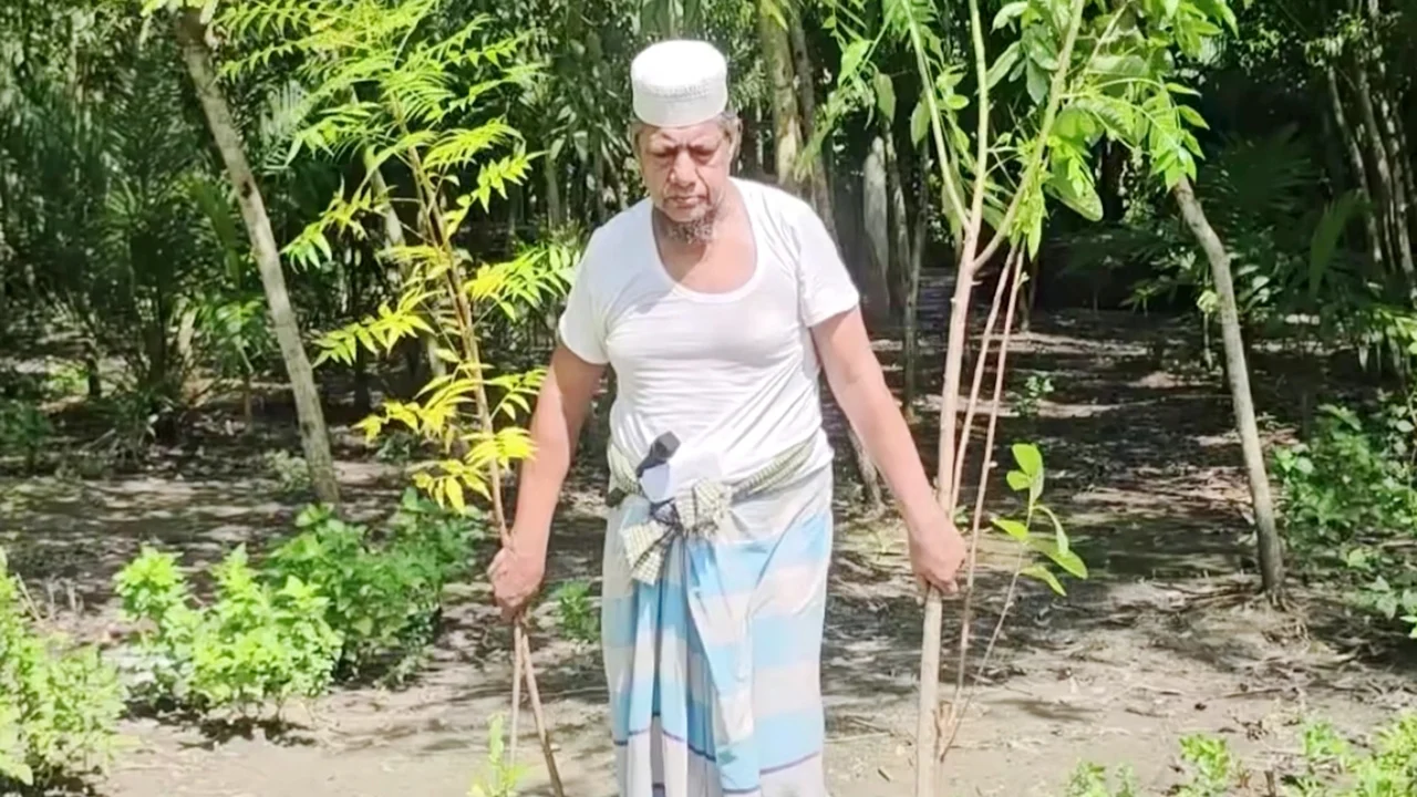 ৩৪ বছর ধরে নিজ উদ্যোগে গাছ লাগিয়ে গ্রামের চিত্র বদলে দিলেন ইমাম