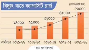 অর্থনীতিতে রক্তক্ষরণ