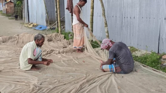 বিয়ানীবাজারের নদনদীতে মাছের আকাল, দিশেহারা জেলে পরিবার