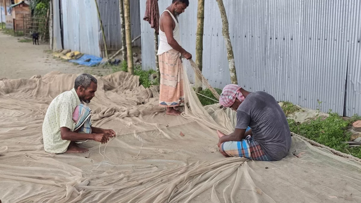 বিয়ানীবাজারের নদনদীতে মাছের আকাল, দিশেহারা জেলে পরিবার