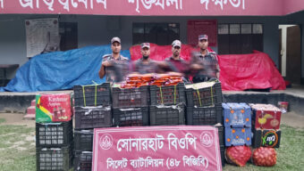 সিলেট সীমান্তে শিং মাছসহ জব্দ বিপুল পরিমাণ চো রা ই পণ্য