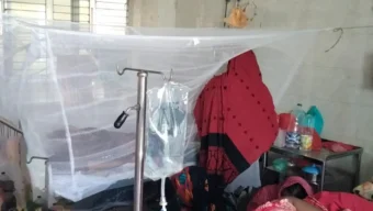চাঁপাইনবাবগঞ্জে ডেঙ্গু আক্রান্ত ২ হাজার ছাড়াল, হাসপাতালে ভর্তি ৪২ জন