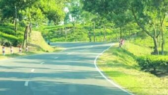 সিলেটে চারলেন হবে এয়ারপোর্ট রোড, চা-বাগানের ভেতর দিয়ে হবে নতুন সড়ক